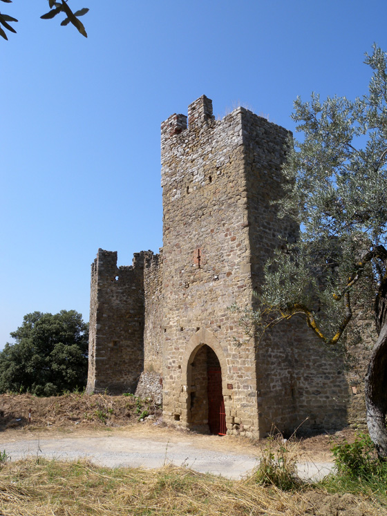 Panoramic Path